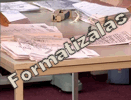 Formatizálás